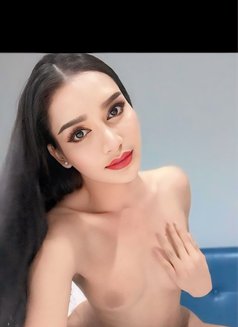Haifa - Transsexual escort in Al Sohar Photo 5 of 5