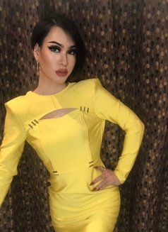 Haifa have popper - Acompañantes transexual in Al Manama Photo 17 of 28