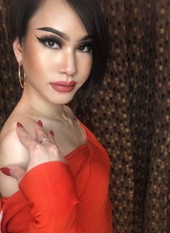 Haifa have popper - Acompañantes transexual in Al Manama Photo 12 of 28