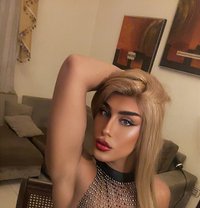 Haifa Xo - Acompañantes transexual in Amman