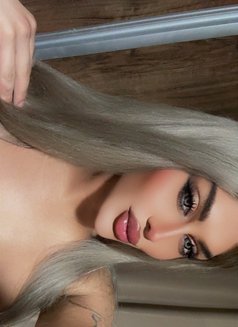 Haifa Xo - Transsexual escort in Amman Photo 12 of 12