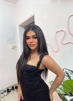 Haifah Lady Boy - Transsexual escort in Muscat Photo 5 of 7