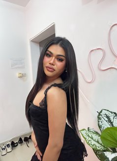 Haifah Lady Boy - Transsexual escort in Muscat Photo 6 of 7