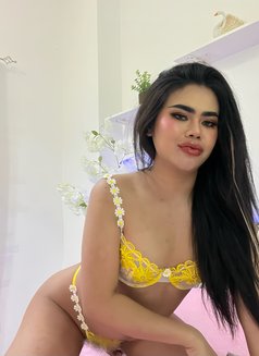 Haifah Lady Boy - Transsexual escort in Muscat Photo 7 of 7