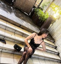 Hailey - Transsexual escort in Manila