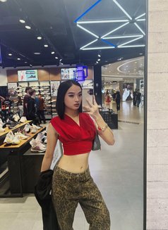 Hailey.Sins.Bbc - Transsexual escort in Manila Photo 15 of 16