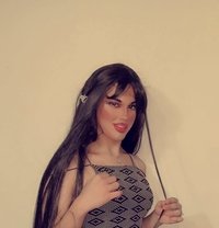 Hala - Transsexual escort in Sofia