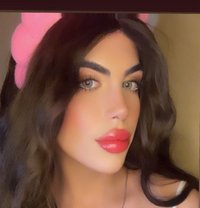 halaa - Acompañantes transexual in Beirut