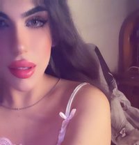 halaa - Acompañantes transexual in Beirut