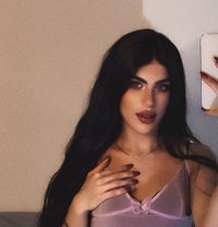 halaa - Transsexual escort in Beirut Photo 1 of 4