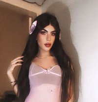 halaa - Transsexual escort in Beirut