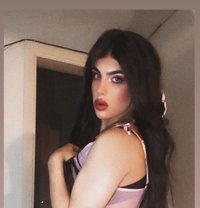 halaa - Transsexual escort in Beirut