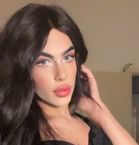 halaa - Transsexual escort in Beirut
