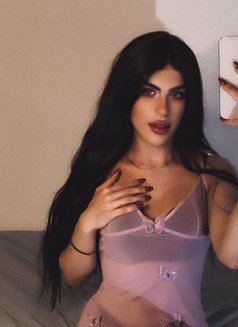 halaa - Transsexual escort in Beirut Photo 12 of 16