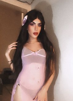 halaa - Transsexual escort in Beirut Photo 15 of 16