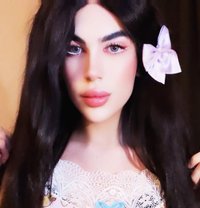 halaa - Transsexual escort in Beirut