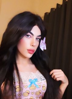 halaa - Acompañantes transexual in Beirut Photo 4 of 12