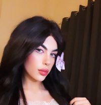 halaa - Transsexual escort in Beirut