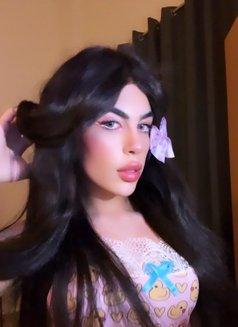 halaa - Acompañantes transexual in Beirut Photo 6 of 12