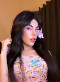halaa - Acompañantes transexual in Beirut Photo 7 of 12