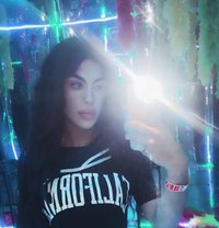 halaa - Acompañantes transexual in Beirut