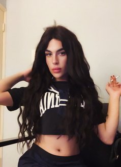 halaa - Acompañantes transexual in Beirut Photo 13 of 24