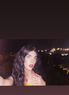 halaa - Acompañantes transexual in Beirut Photo 22 of 24