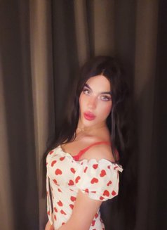 halaa - Transsexual escort in Beirut Photo 24 of 24