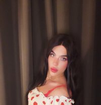 halaa - Transsexual escort in Beirut