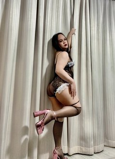 Halene big ass good suck 🇱🇦🇹🇭 - Acompañantes transexual in Al Manama Photo 9 of 10