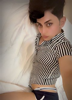 Hamood - Transsexual escort in Al Sohar Photo 4 of 6
