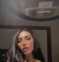 Han Sara Outacll & Incall - escort in Doha