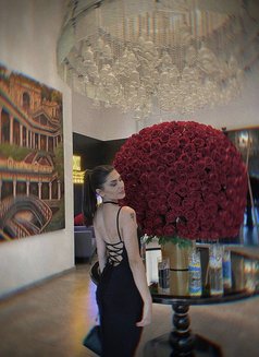 Han Sara Outacll & Incall - escort in Doha Photo 2 of 4