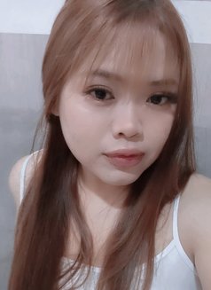 Hana girl(chubby)BJ,Deepthroat,CIM,Rim - escort in Kuala Lumpur Photo 28 of 29