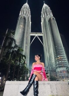 Hana Independent Tecom - escort in Dubai Photo 7 of 7