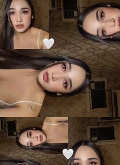 Yosi Ladyboy Thailand 🇹🇭 - Transsexual escort in Ajmān Photo 2 of 10