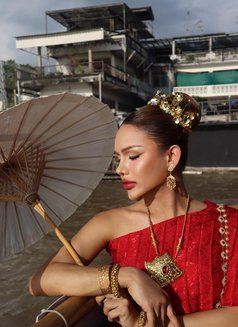 Hana Luxury Shemale - Transsexual escort in Riyadh Photo 10 of 11