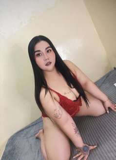 Hana New Chubby in Doha - masseuse in Doha Photo 5 of 5