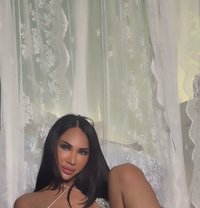 Hana 🇹🇭 - Transsexual escort in Phuket