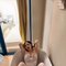 Lurea.fullservices+anal - escort in Al Manama