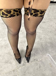 Lurea.fullservices+anal - escort in Al Manama Photo 6 of 8