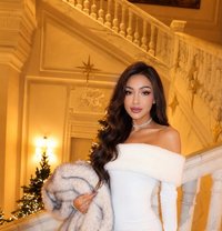 Hani Big Dick and Beautiful Asshole - Acompañantes transexual in Dubai