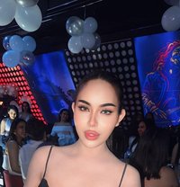 Hani Shemale - Transsexual escort in Riyadh
