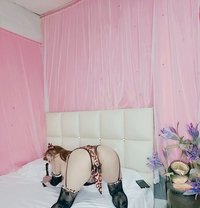 HANI SWEET🥂is back VIP. Full Service - escort in Abu Dhabi