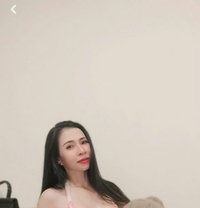 Hani - Male escort in Muscat