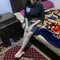 Hania - puta in Cairo Photo 4 of 4