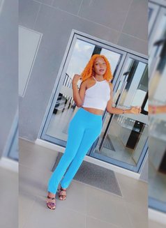 Haniberry - escort in Pattaya Photo 12 of 13