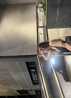 Hanna - Acompañantes transexual in Manila Photo 1 of 2