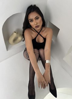 Hanna Ghania Can Anal - escort in Bali Photo 25 of 28