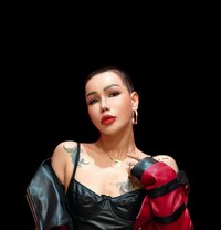 H sexy - escort in Abu Dhabi